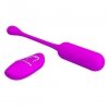 Pretty Love Lechies, 12 vibration functions wireless remote control